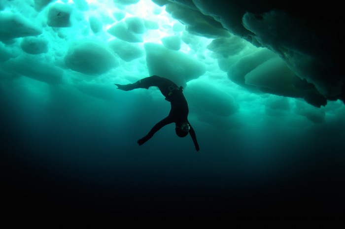  Ai Futaki: Under Ice © by Aaron Wong