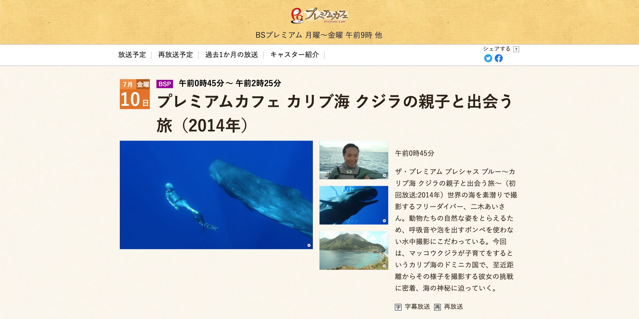 年7月10日 金 Nhk Bsプレミアム プレミアムカフェ カリブ海 クジラの親子と出会う旅 14年 再放送 Nhk Bs Premium Tv Documentary Re Broadcast Ai Futaki