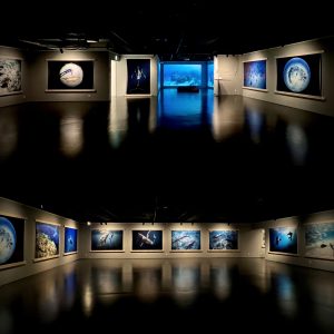 2021【Coexistencia 共に生きる】Cervantes Tokyo, Japan